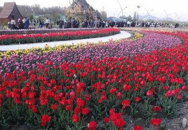 مردم و مسافران ارومیه به جشنواره گل دعوت شدند