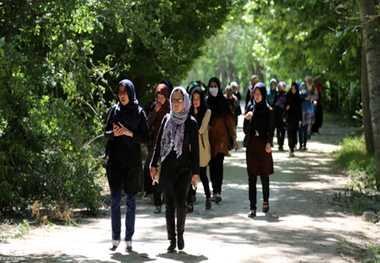 هزاران دختر تحصیلکرده قمی پشت خط اعتماد مدیران