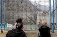 سد کرج در آستانه خشک شدن (5)