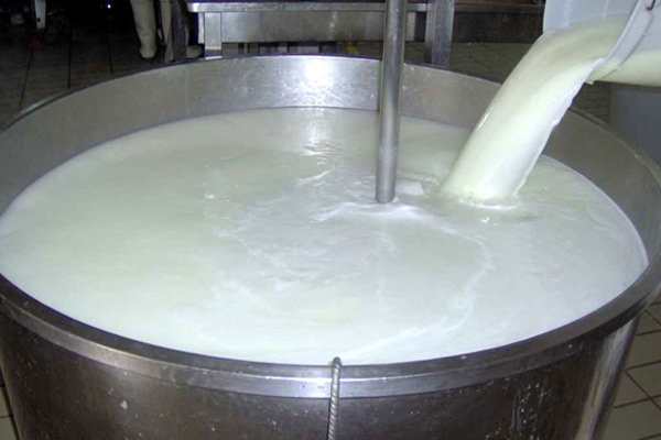 سالانه ۱۶۵ هزار تن شیر در استان زنجان تولید می شود