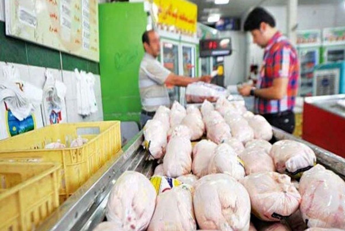 قیمت مرغ و تخم مرغ چقدر افزایش پیدا میکند؟/ رییس انجمن توزیع کنندگان نهاده دامی پاسخ داد