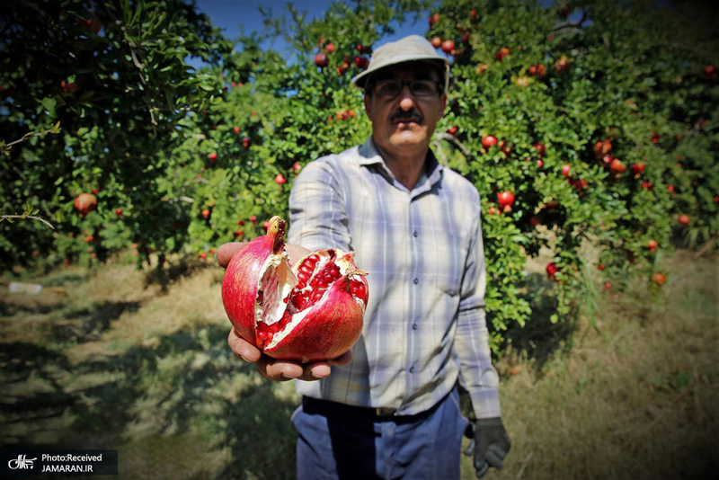 منتخب تصاویر امروز جهان - 4 آبان 1401