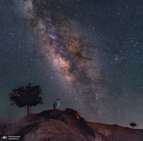 منتخب تصاویر امروز جهان- 10 تیر 1400