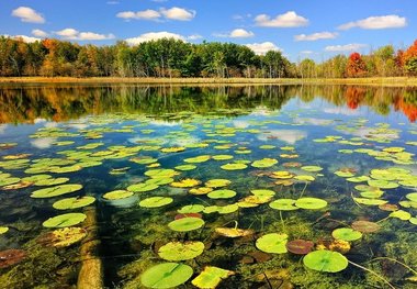 سرعت عمل کلیدی ترین مسأله در تأمین آب مورد نیاز کشاورزی است