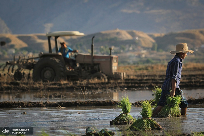 منتخب تصاویر امروز جهان- 4 تیر