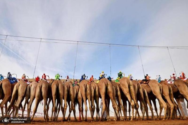 منتخب تصاویر امروز جهان- 9 دی 1400