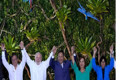 شکست کشورهای حوزه آمازون در پایان دادن به «جنگل‌زدایی»