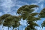 وزش باد نسبتا' شدید همراه با گردوخاک در البرز