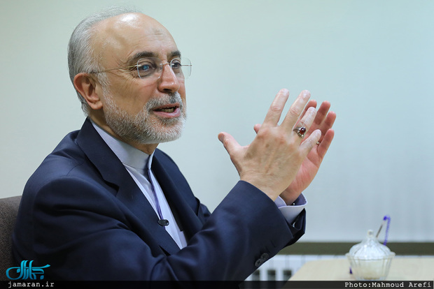 علی اکبر صالحی: موضوع هسته ای بهانه دشمن است