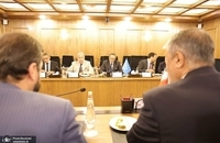 گروسی در سازمان انرژی اتمی (4)