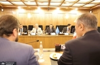 گروسی در سازمان انرژی اتمی (4)