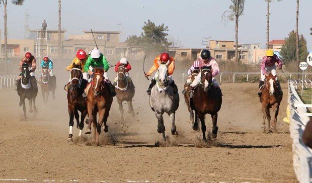 رقابت ۶۵ راس اسب در روز دوم هفته سیزدهم مسابقات اسبدوانی گنبد