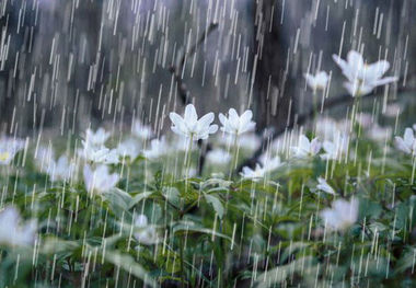 کاهش دما و بارش باران برای استان سمنان پیش‌بینی می‌شود