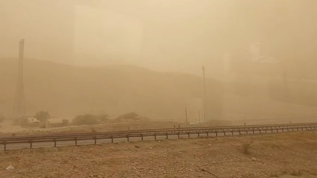 گرد و غبار استان بوشهر را تعطیل کرد + فیلم
