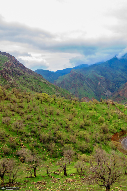 روستای هجیج؛ ماسوله سنگی کرمانشاه‎‎