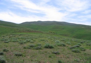 پوشش بیمه ای مراتع خراسان شمالی صفر است