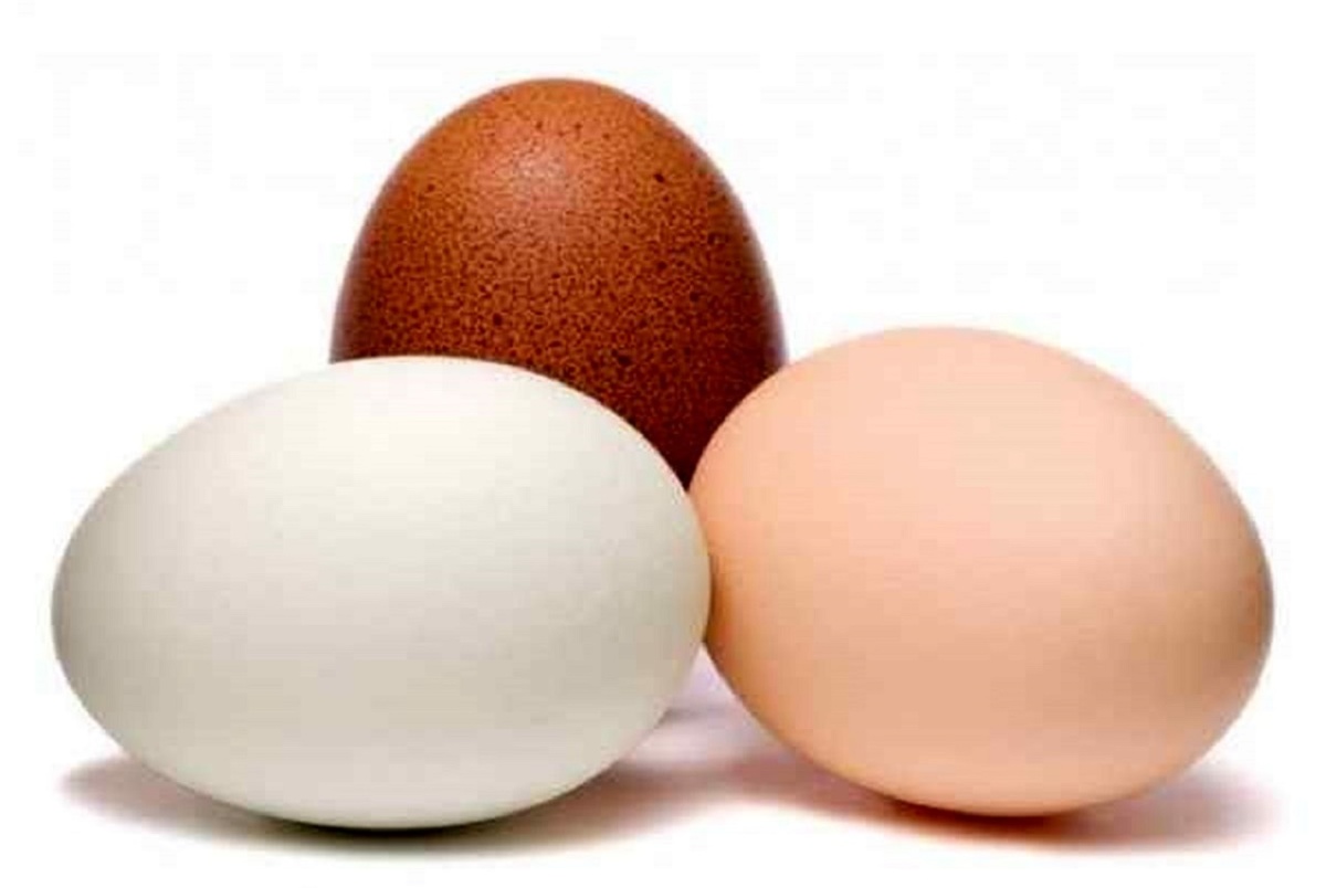 تخم مرغ‌های قهوه‌ای با سفید چه تفاوتی دارند؟