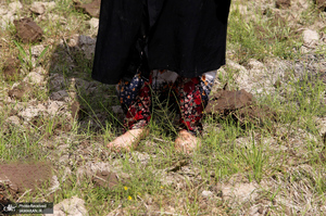 منتخب تصاویر امروز جهان- 6 اردیبهشت 1400