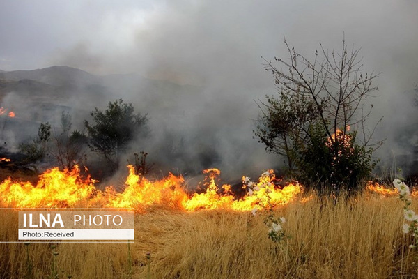 مهار موقت آتش در کوهمره سرخی  مشاهده دود در مناطق صعب العبور  برخی گونه‌های جانوری در آتش سوختند