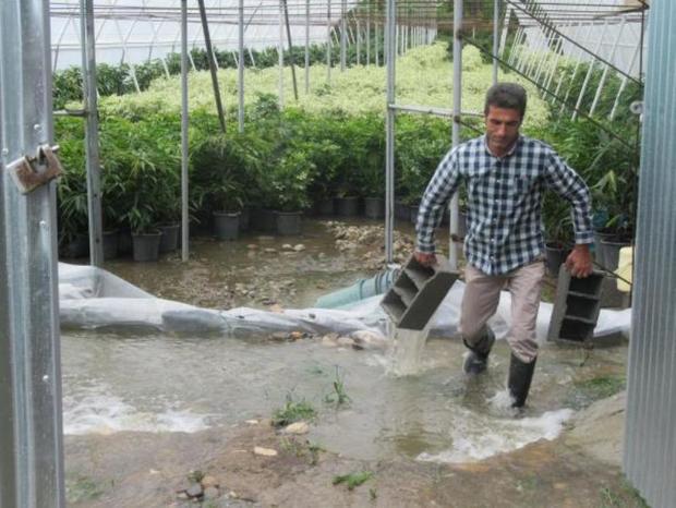 توفان 2 هزار و 200 میلیارد ریال به کشاورزی مازندران خسارت زد