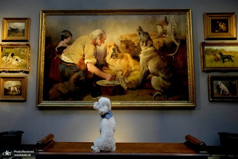 منتخب تصاویر امروز جهان - 15 بهمن 1401