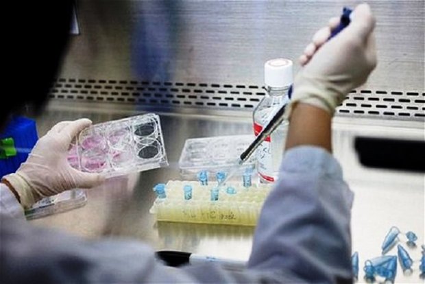 مرکز مطالعات علمی کوهورت کوار مقام نخست کشور را کسب کرد