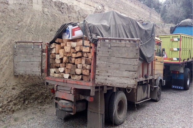 امسال 70 تن چوب قاچاق در مهاباد کشف شده است