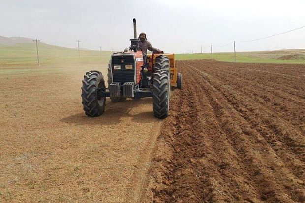 ۶۰ درصد از سطح زیر کشت پاییزه گچساران آبی است