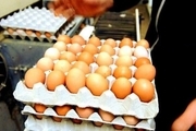 یک‌هزار و ۲۰۰ تُن تخم مرغ فاقد مجوز در باشماق مریوان کشف شد