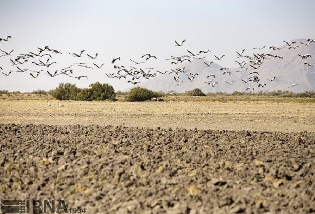 گشایش بخت بختگان در گروی تامین بودجه