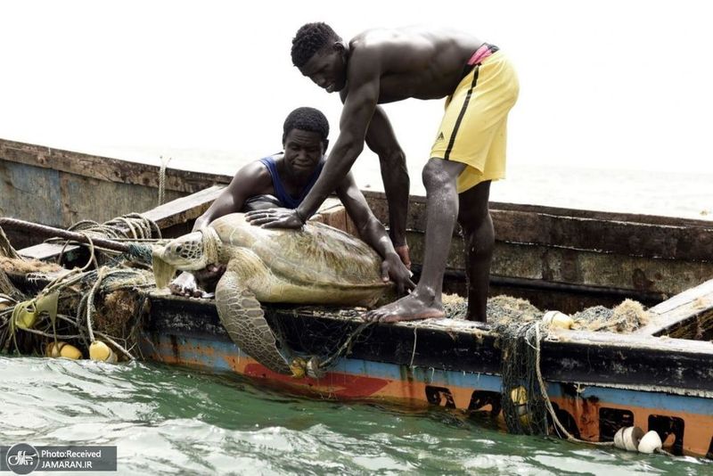 منتخب تصاویر امروز جهان- 13 تیر