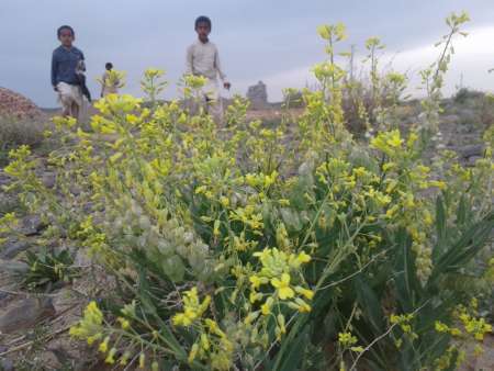 روستاهای خاش مقصد طبیعت گردان سیستان و بلوچستان