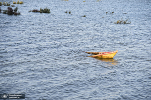 منتخب تصاویر امروز جهان- 6 خرداد