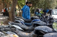 دستگیری سارقان خشن پایتخت (5)