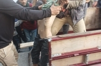 شهادت دردناک کودکان فلسطینی در حمله اسرائیل (4)