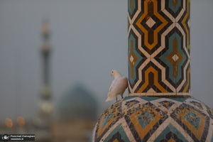 مراسم تعویض پرچم حرم حضرت معصومه (س) در شب اول ماه محرم‎‎