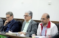 جلسه کمیته هماهنگی و نظارت بر اجرای قانون حمایت از حقوق افراد دارای معلولیت (4)