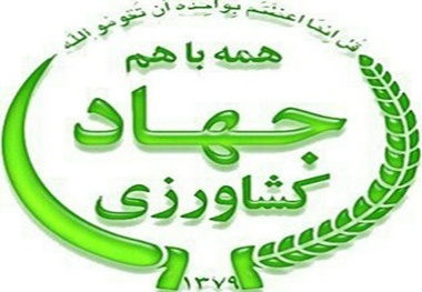 معاون امور دام وطیور لرستان: مهمترین کار در حوزه طیور ؛ایجاد زنجیره ی تولید است