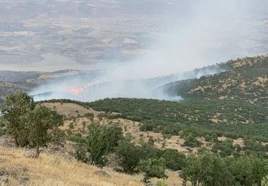 بخشی از منطقه حفاظت شده قلاجه دچار آتش سوزی شد