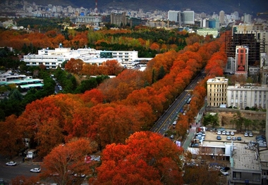 چنارکشی در خیابان ولیعصر