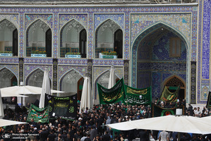 ظهر شهادت امام رضا (ع)