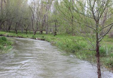 مسیر رودخانه های خلخال آزاد سازی می شود