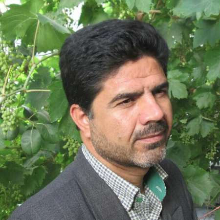 یک فعال اصلاح طلب: برخی ها تصور می کنند که ایران ملک شخصی آن ها است