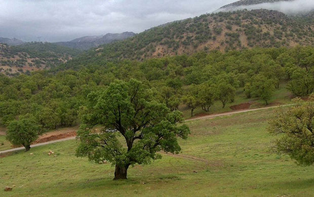 انتقاد شورا از روند کند اجرای طرح بزرگترین بوستان تفریحی همدان