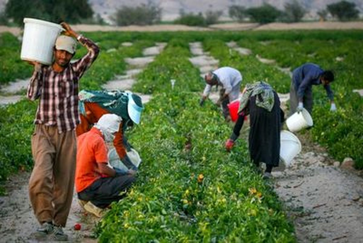 جوانان روستایی با ۲۰هزارتومان بیمه می شوند