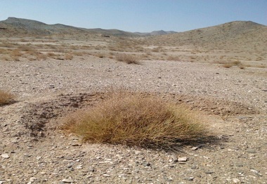 آغاز طرح ذخیره نزولات آسمانی در مراتع گچساران