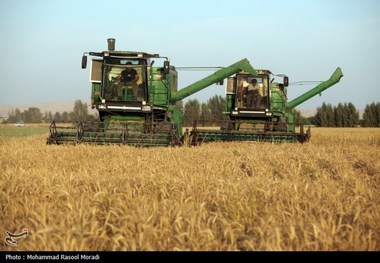 پرداخت مطالبات گندم‌کاران به کجا رسید؟