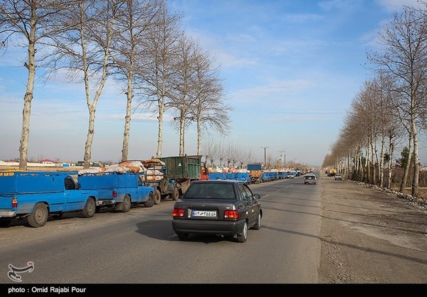 وقتی آمارسازی بلای جان کشاورزی استان همدان می‌شود