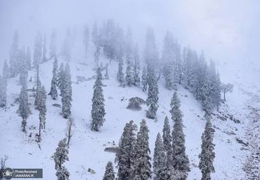 برف کوری چیست؟