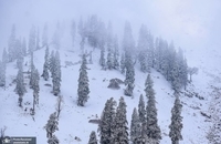 تصاویری زیبا از بارش برف تازه در کشمیر هند (4)